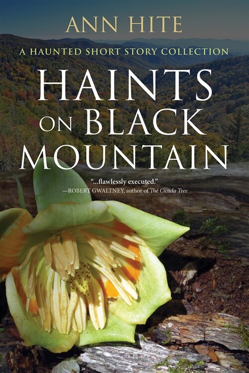 Haints on Black Mountain: A Haunted Short Story Collection (Paperback)