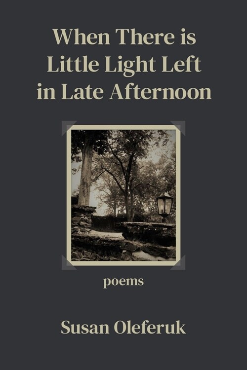 When There Is Little Light Left in Late Afternoon (Paperback)