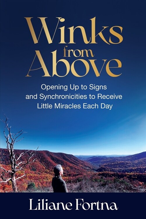 Winks from Above: Opening Up to Signs and Synchronicities to Receive Little Miracles Each Day (Paperback)