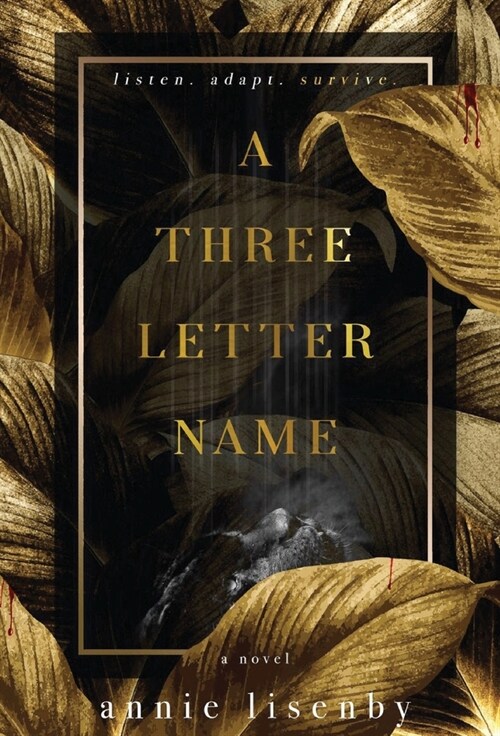 A Three-Letter Name (Hardcover)