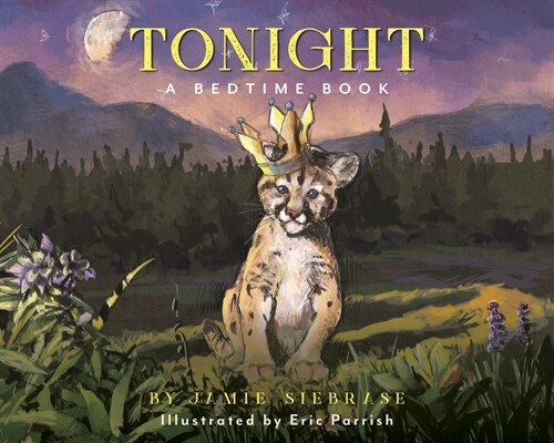 Tonight!: A Bedtime Book (Hardcover)