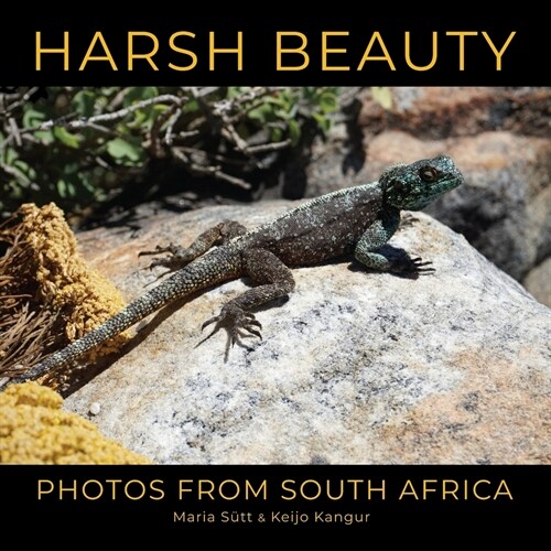 Harsh Beauty: Photos from South Africa (Paperback)