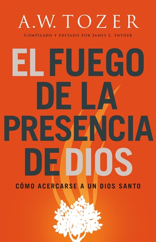 El Fuego de la Presencia de Dios: C?o Acercarse a Un Dios Santo (Spanish Language Edition, Fire of Gods Presence (Spanish)) (Paperback, Spanish Languag)
