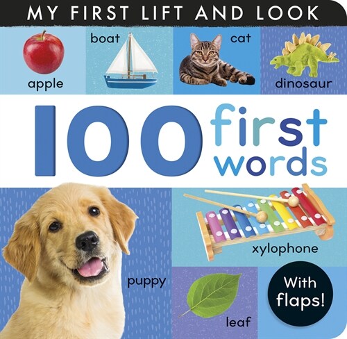 100 First Words: My First Lift and Look (with Flaps) (Board Books)