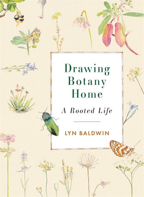 Drawing Botany Home: A Rooted Life (Paperback)