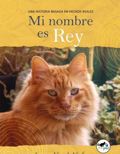 MI NOMBRE ES REY (Book)