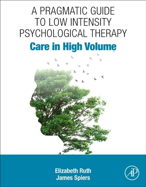 A Pragmatic Guide to Low Intensity Psychological Therapy : Care in High Volume (Paperback)