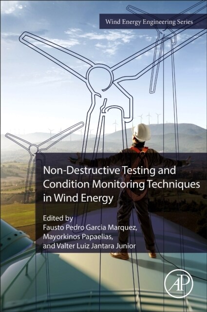 Non-Destructive Testing and Condition Monitoring Techniques in Wind Energy (Paperback)