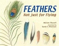 Feathers :not just for flying 