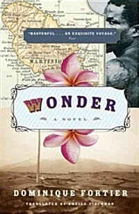 Wonder (Paperback, Deckle Edge)