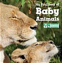 My First Book of Baby Animals (Board Books)