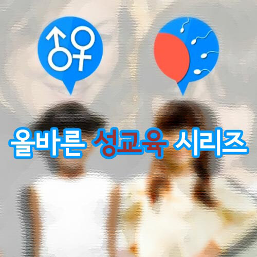 올바른 성교육 시리즈 (3disc)