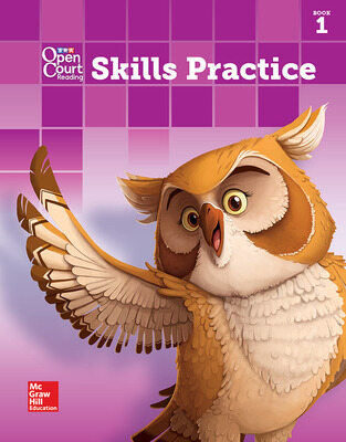 Open Court Reading 4.1 Skills Practice, Grade 4