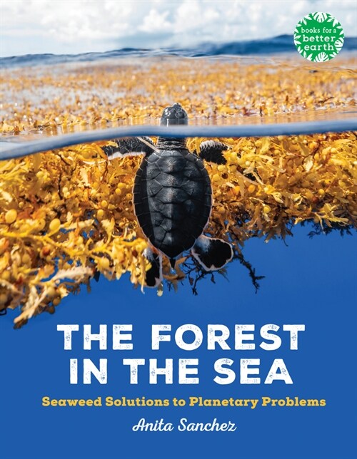The Forest in the Sea: Seaweed Solutions to Planetary Problems (Hardcover)