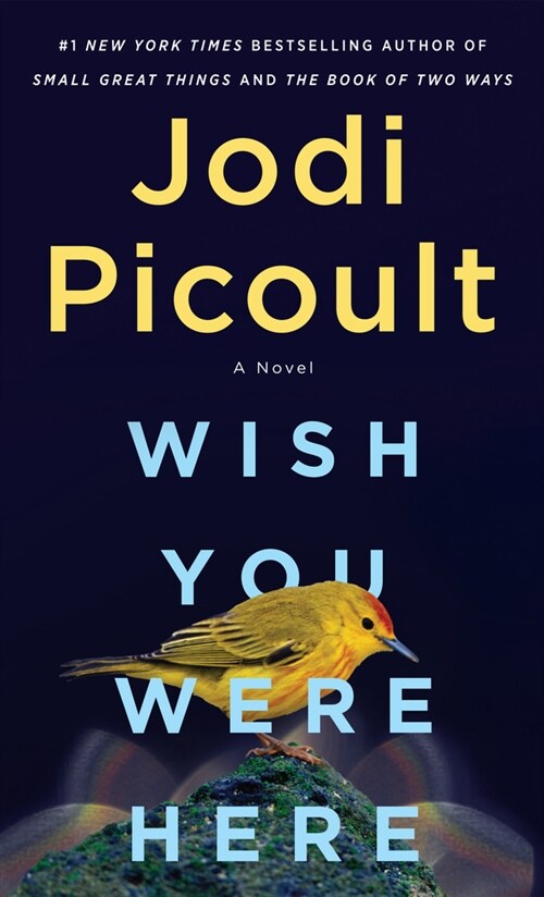 Wish You Were Here (Paperback)