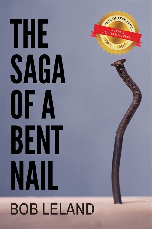 The Saga of a Bent Nail (Paperback)