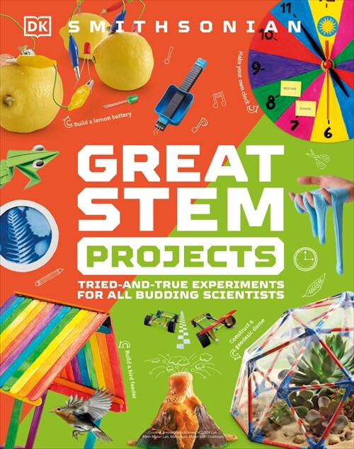 Great Stem Projects (Paperback)