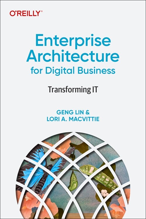 Enterprise Architecture for Digital Business: Transforming It (Paperback)