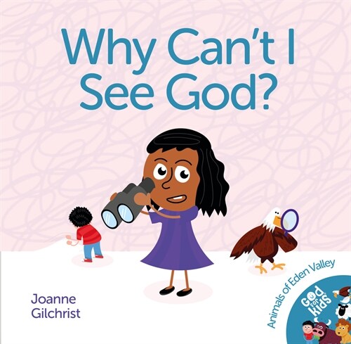 Why Cant I See God? (Paperback)