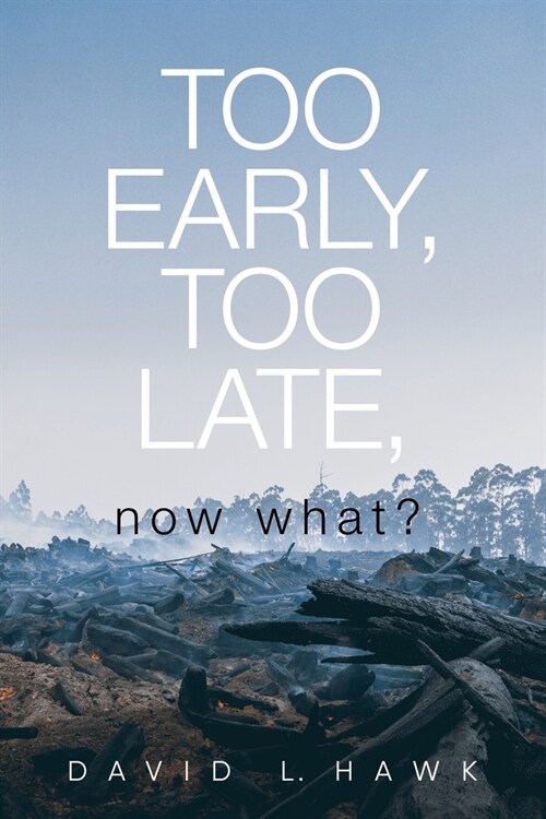 Too Early, Too Late, Now What? (Paperback)