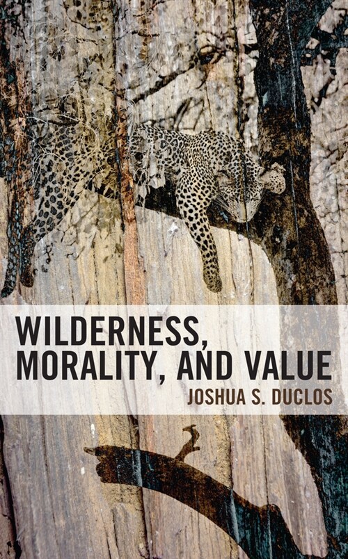 Wilderness, Morality, and Value (Hardcover)