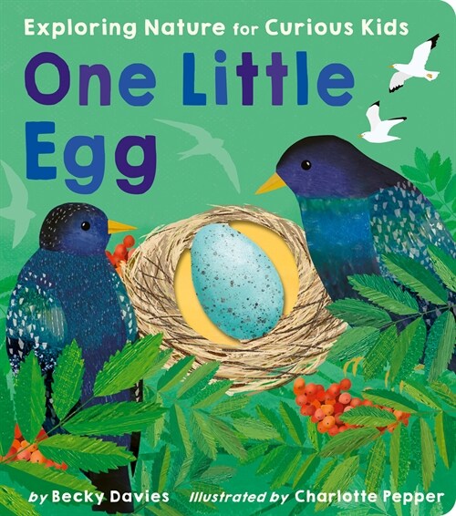 One Little Egg: Exploring Nature for Curious Kids (Board Books)