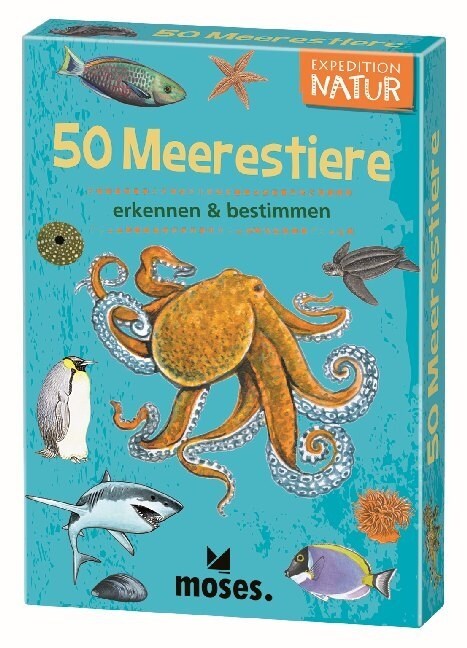 50 Meerestiere erkennen & bestimmen (Cards)