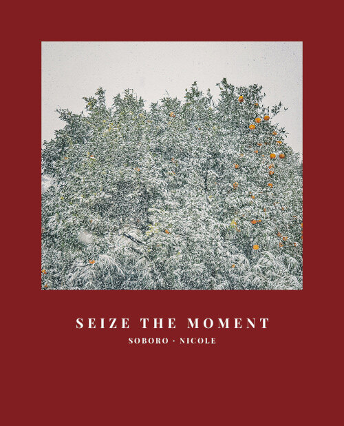 SEIZE THE MOMENT