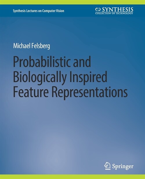 Probabilistic and Biologically Inspired Feature Representations (Paperback)