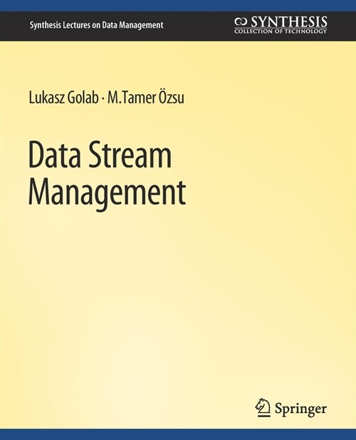 Data Stream Management (Paperback)