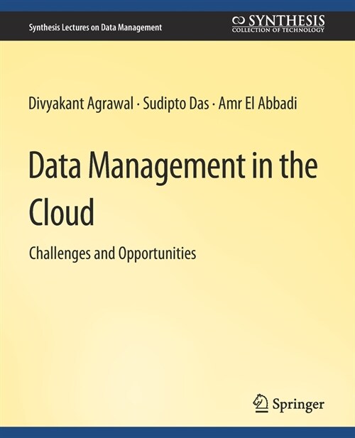 Data Management in the Cloud (Paperback)