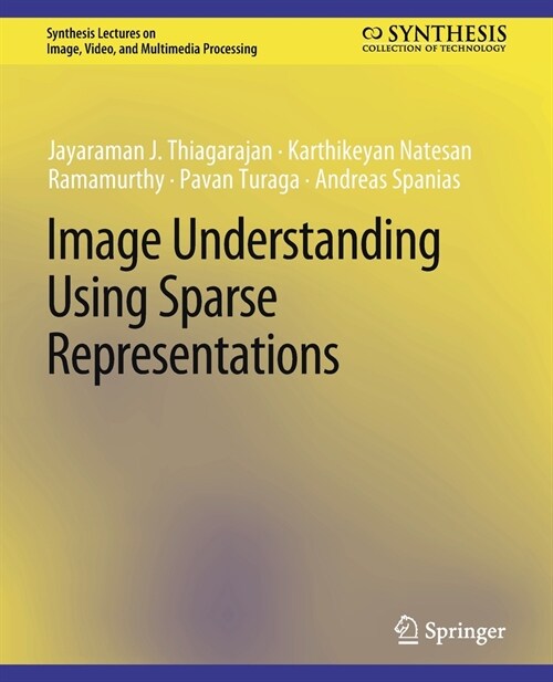 Image Understanding using Sparse Representations (Paperback)