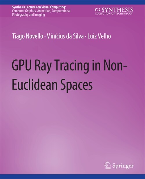 GPU Ray Tracing in Non-Euclidean Spaces (Paperback)