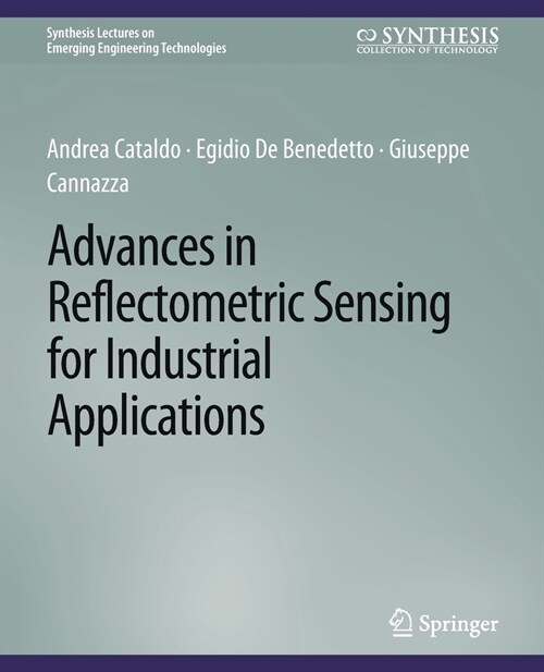 Advances in Reflectometric Sensing for Industrial Applications (Paperback)