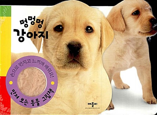 멍멍멍 강아지