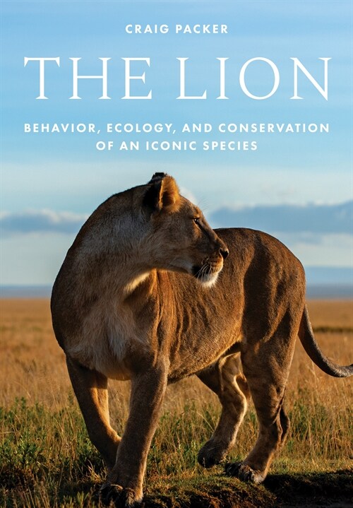 The Lion: Behavior, Ecology, and Conservation of an Iconic Species (Hardcover)