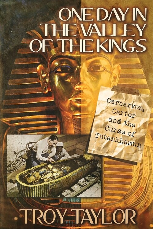 One Day in the Valley of the Kings (Paperback)