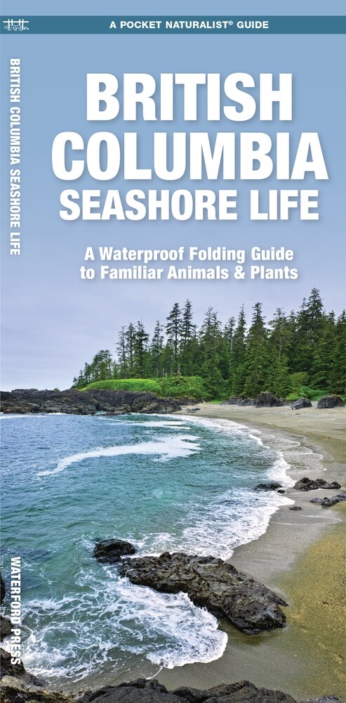 British Columbia Seashore Life: A Waterproof Folding Pocket Guide to Familiar Animals & Plants (Paperback, 3)