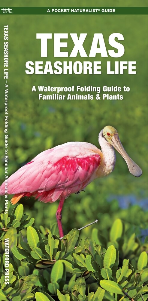 Texas Seashore Life: A Waterproof Folding Guide to Familiar Animals & Plants (Paperback, 3)