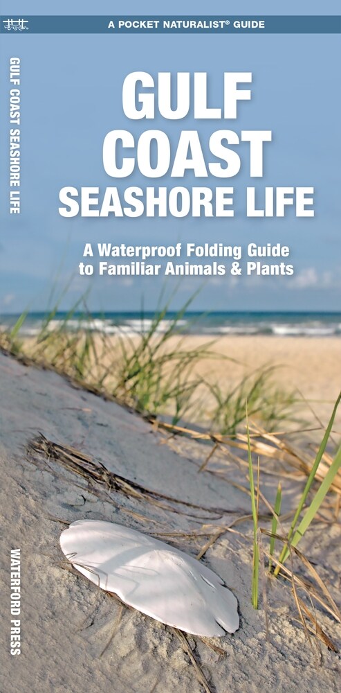 Gulf Coast Seashore Life: A Waterproof Folding Guide to Familiar Animals & Plants (Paperback, 2)