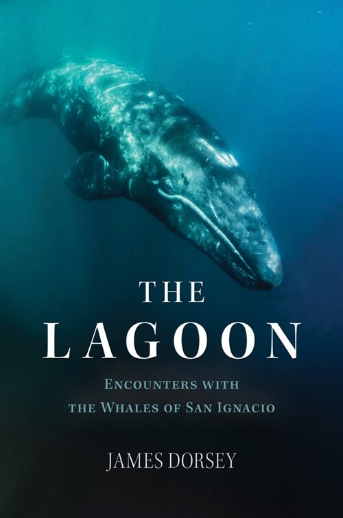 The Lagoon: Encounters with the Whales of San Ignacio (Hardcover)