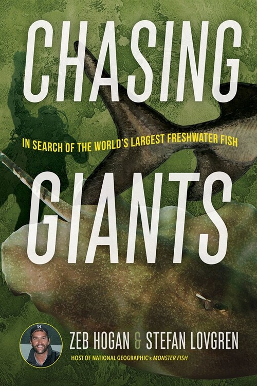 Chasing Giants: In Search of the Worlds Largest Freshwater Fish (Hardcover)