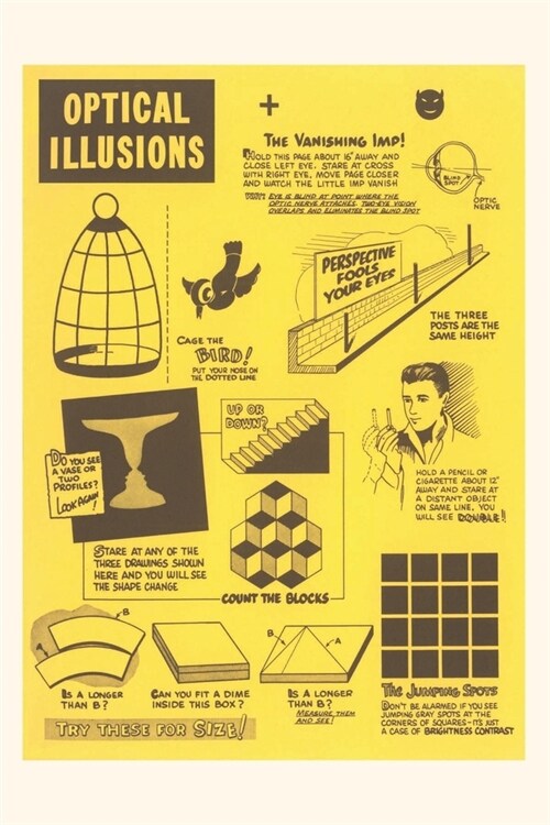 Vintage Journal Optical Illusions (Paperback)