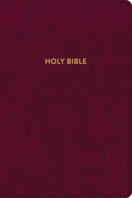 KJV Rainbow Study Bible, Burgundy Leathertouch (Imitation Leather)