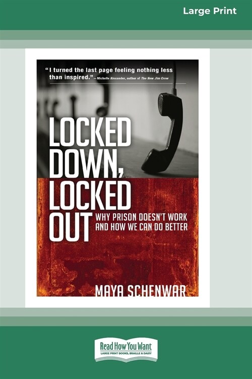 Locked Down, Locked Out: Why Prison Doesnt Work and How We Can Do Better [16 Pt Large Print Edition] (Paperback)
