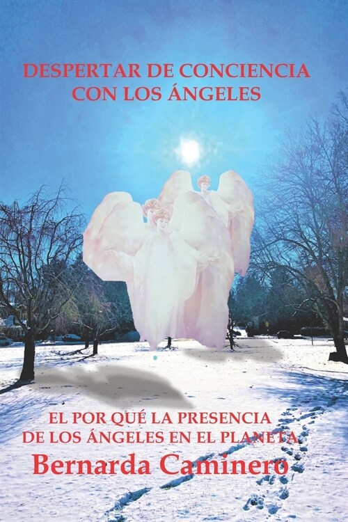 Despertar de Conciencia Con Los Angeles (Paperback)