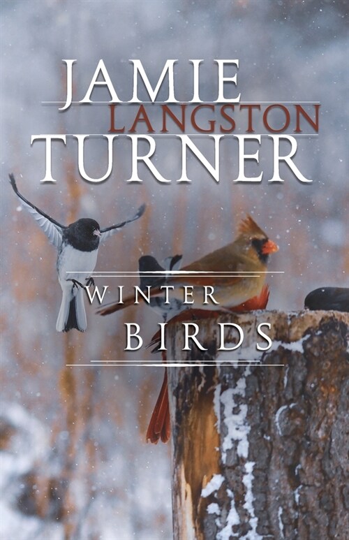 Winter Birds (Paperback)