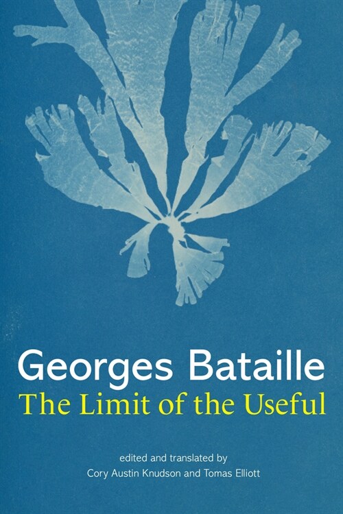 The Limit of the Useful (Hardcover)