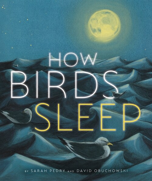 How Birds Sleep (Hardcover)