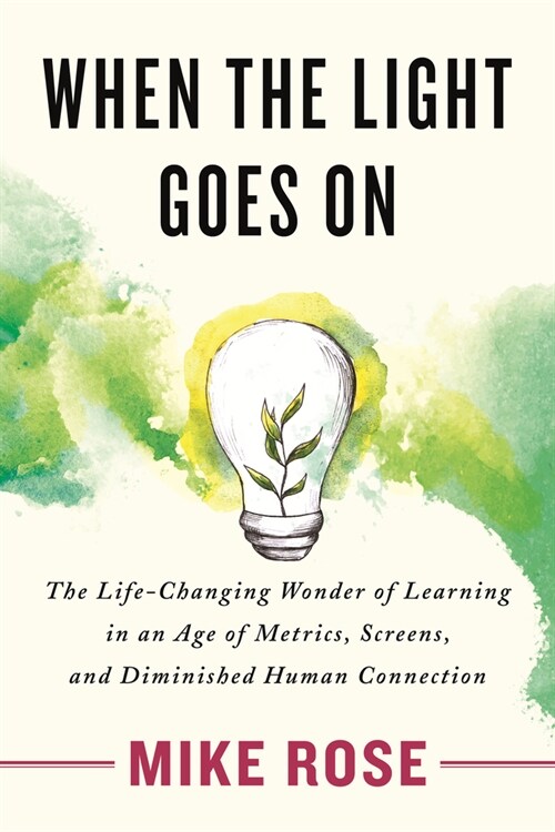 When the Light Goes on: The Life-Changing Wonder of Learning in an Age of Metrics, Screens, and Diminished Human Connection (Hardcover)